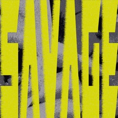 Flowdan - Savage (HØST Bootleg)