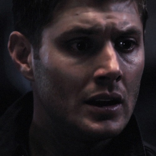 𝚃𝚛𝚊𝚗𝚜𝚐𝚎𝚗𝚍𝚎𝚛 (Edit Audio)