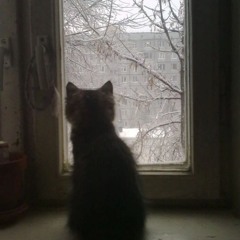 рэйчи - в твое окно