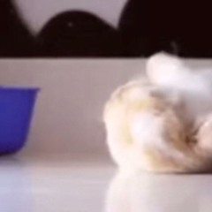 up it w heccfym (prod me)