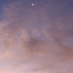 Protección (beat qciqa)