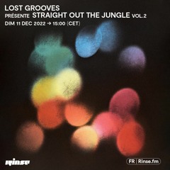 Lost Grooves présente Straight out the Jungle vol.2 - 11 Décembre 2022