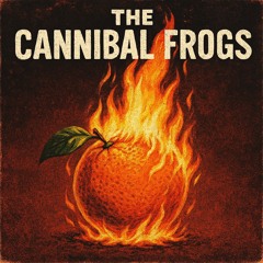 The Cannibal Frogs "Distress Tolerance for Lunch" Evolve Danville 11.12.25 drew