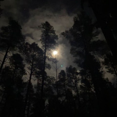 (CHILL BEAT) Trippie red / Boom Bap TYPE beat (Prod by SPREZYNA)