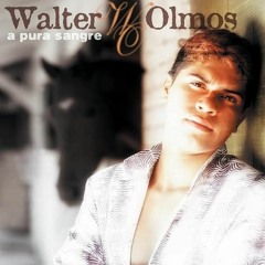 Por Lo Que Yo Te Quiero - Walter Olmos