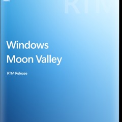 Windows 11 Crazy Error