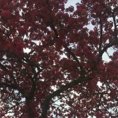 Autumn (prod. pwlamz x juice)