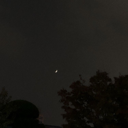 산책