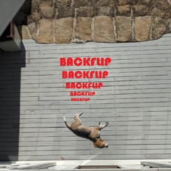 BACKFLIP feat. [EXTRATERRESTRIAL LIFEFORM]