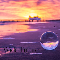Wide Future