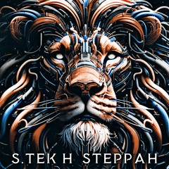 S'TEK H - STEPPAH