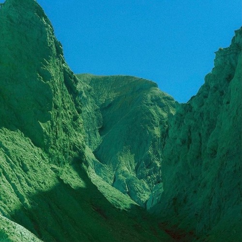 News From The Treetops w/ Macaulay Sulkin - December 2020