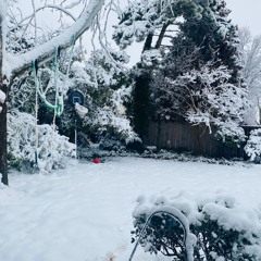 Polar Flair 2