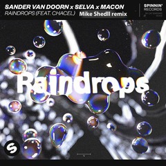 SANDER VAN DOORN X SELVA X MACON - RAINDROPS (Mike Shedll Remix)