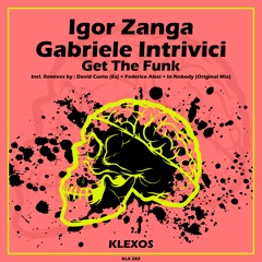 Gabriele Intrivici, Igor Zanga - In Nobody (Original Mix)