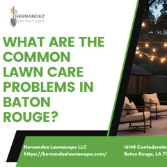 What are the common lawn care problems In Baton Rouge?