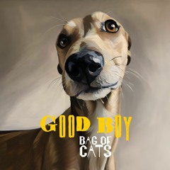 Good Boy