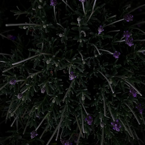 CODECAST X - De Lafore - Dystopic Landscapes