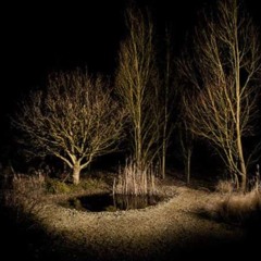 disquiet0681