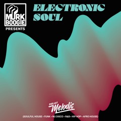Electronic Soul