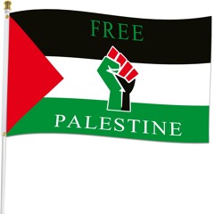 blood on my feet (free gaza) p rokstarr