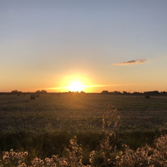 inner walk (sun & wheat) 01.11 demo