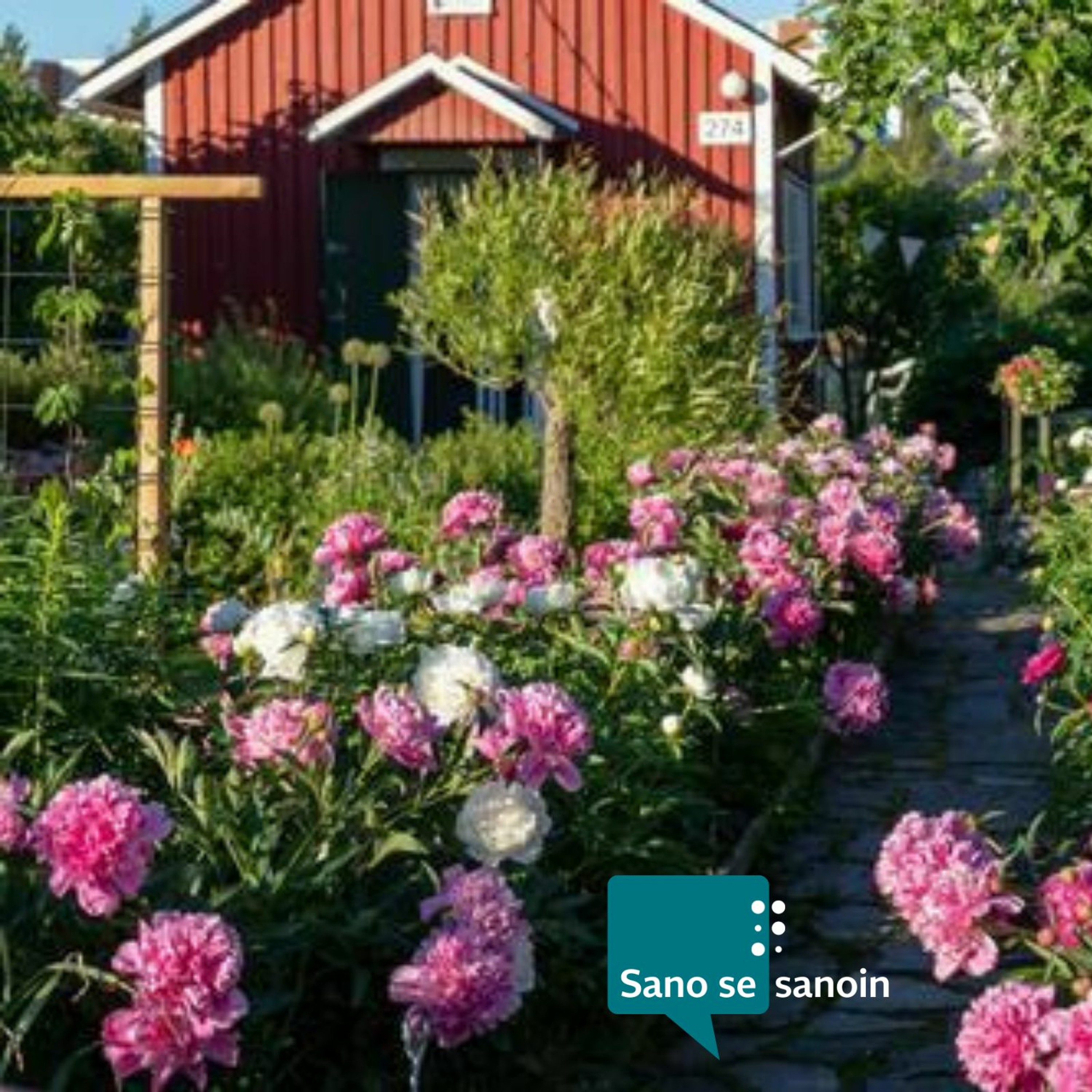 Näkövammaisten liitto
