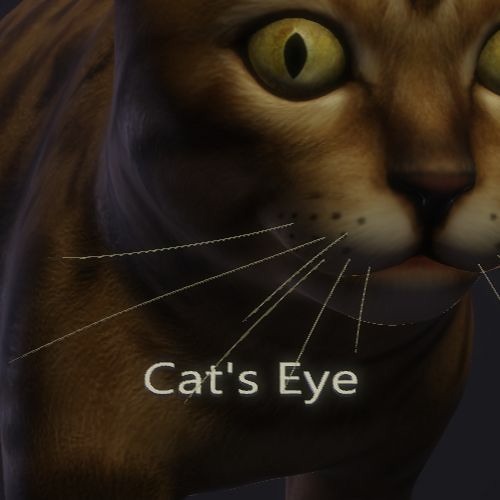 Cat's Eye