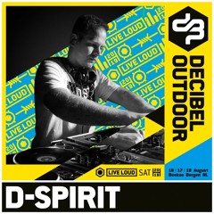 D-Spirit @ Decibel outdoor 2019 - Millennium Hardcore - Saturday