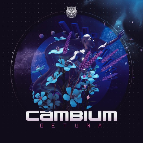 Cambium - Detuna