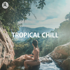 Tropical House Chill 2025