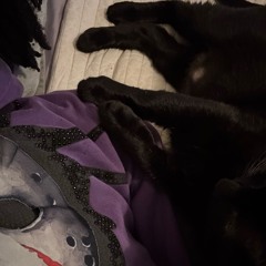 riso - Chidori [prod. bxndobxbii]