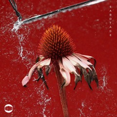 Sabotage (with Talia Rose)