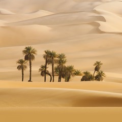 A New World Awaits - Remix