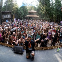SHAMBHALA 2024 @ THE GROVE