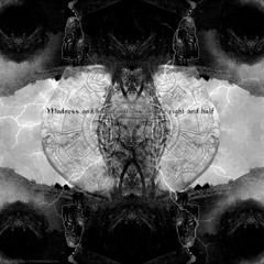 Psylocibirex Vs Bhassam -- Tandava [205 Bpm] Unmastered Demo