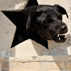 every day (prod. ognickkk)