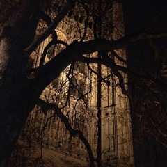 natalie nunn * loneboy6k