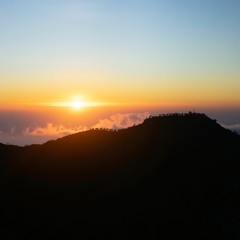 Seeking Truth (w/ The David Roy Collective)