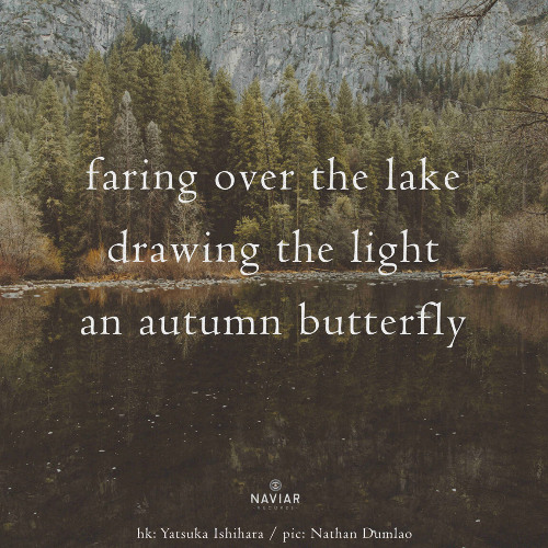 faring over the lake (Naviarhaiku 612)