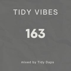 Tidy Vibes 163