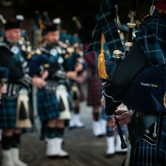 TPD Hornpipe Set: Winnipeg Forger & Chasing Shadows 2024