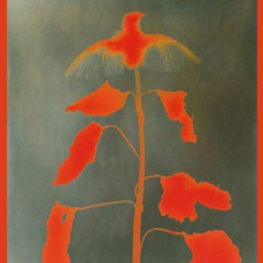 Metanoia Session  #2