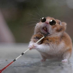 龙 time no see (manyao)