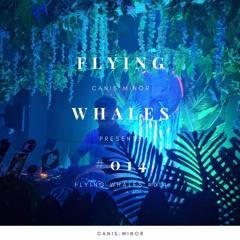 Flying Whales #014 [03 Nov 2021] @CEL Katowice // Garden of God #21