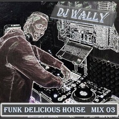 Dj Wally - Funk Delicious House Mix 03