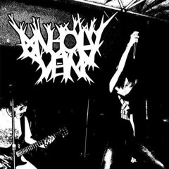Unholy Vein - Silence Your Fuckin Phone! Vibrate Only!