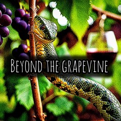 Beyond The Grapevine