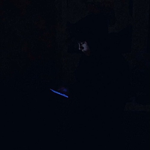 come home (prod.crow)
