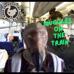 Muggles On The Train